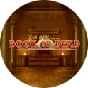 Book of Dead video slot logo
